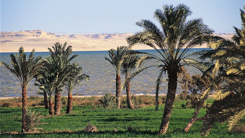 درجات الحرارة
