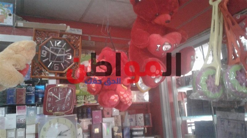 أسعار الدباديب في