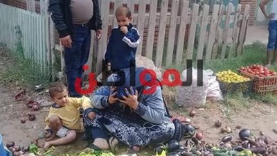 صور.. فرعون رأس البر يستغل سلطته ضد بائعة خضار .. والمحافظ يرد