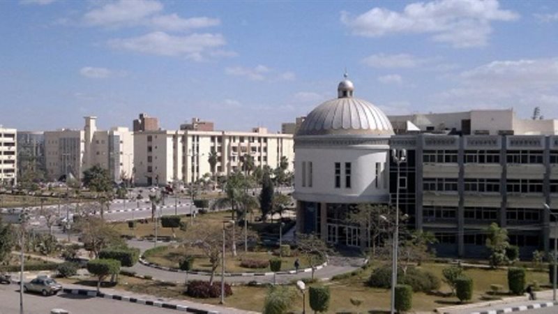 جامعة الفيوم 