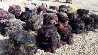صور.. شرطة المسطحات المائية بكفر الشيخ تشن حملة لإزالة تعديات بحيرة البرلس