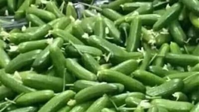 أسعار الخضار والفاكهة في سوهاج اليوم الأربعاء.. تعرف عليها