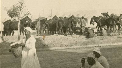 حكاية صورة| معسكر الإنجليز في حي المعادي بالقاهرة سنة 1916 