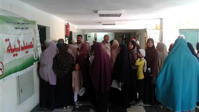 الكشف وصرف العلاج لـ 907 مواطنا بقافلتين في الوادي الجديد 