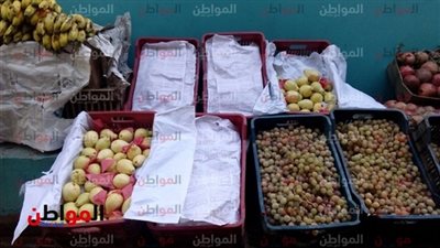 أسعار الخضراوات والفاكهة بأسواق كفر الشيخ اليوم الجمعة.. تعرف عليها