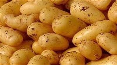 مجنونة يا بطاطس..  أسعار الخضراوات بأسواق بني سويف