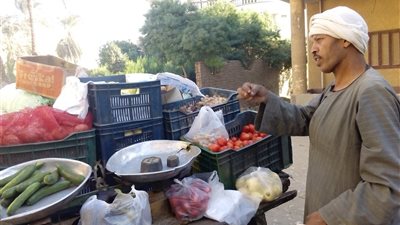 أسعار الخضار والفاكهة في سوهاج.. والطماطم بـ 7 جنيهات