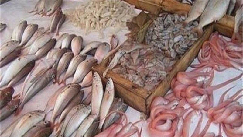  أسعار الأسماك 