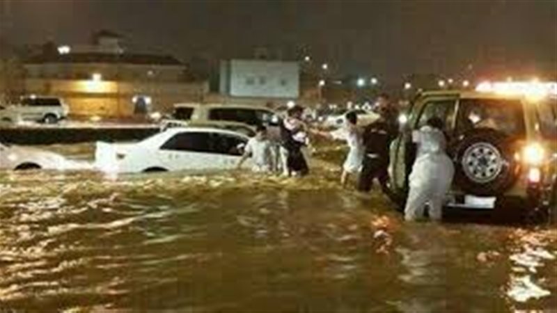 المواطن