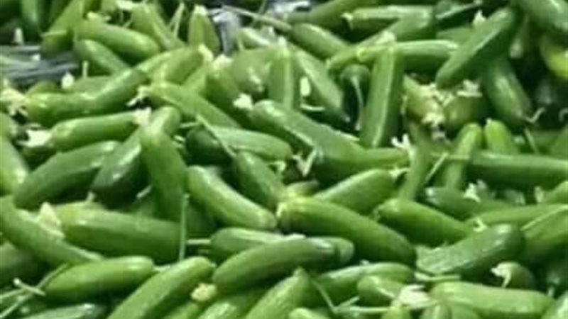 أسعار الخضروات بأسواق