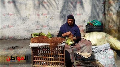 كيف تأثرت المرأة العاملة في مصر بالظروف الاجتماعية؟