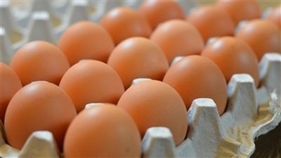 أسعار البيض اليوم الأحد 11 نوفمبر 2018