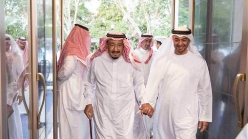 بن زايد وسلمان فى