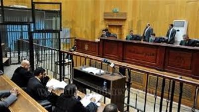 قتلها بفأس ووضع جثتها في برميل.. تفاصيل إحالة قاتل ربة منزل إلى المفتي 
