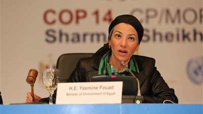 وزيرة البيئة تقرر اعتماد المشروع الوزاري الأفريقي في الجلسة الختامية لقمة الوزراء الأفارقة
