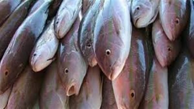 أسعار اللحوم بأسواق سوهاج اليوم الأربعاء.. تعرف عليها