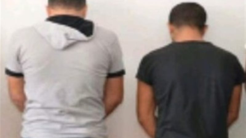 عصابة سرقة المواشي