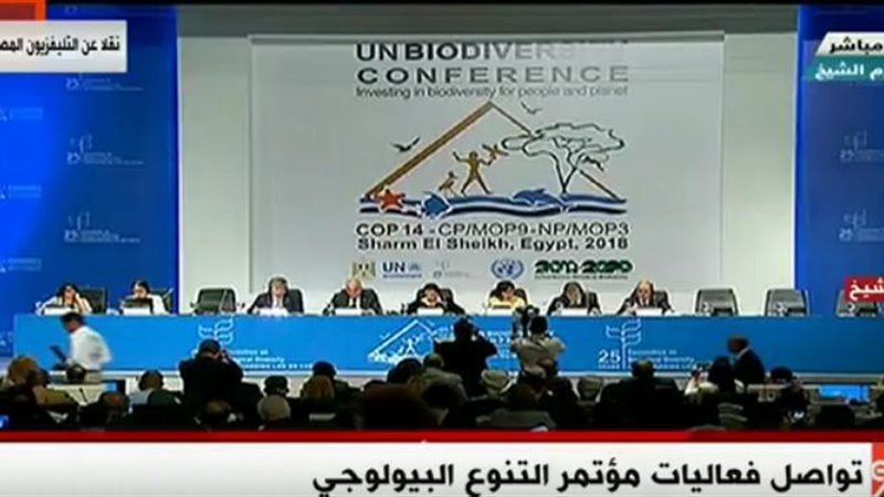 فعاليات مؤتمر التنوع