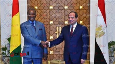 السيسي يوجه رسائل مهمة لوزير دفاع غينيا
