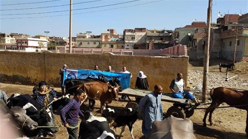 قافلة بيطرية