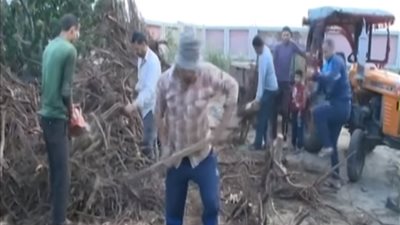 فيديو.. جهاز تنمية المشروعات يمول مشروعا لصناعة الفحم في دمياط