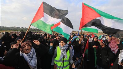 صورة فلسطيني قعيد في جمعة 