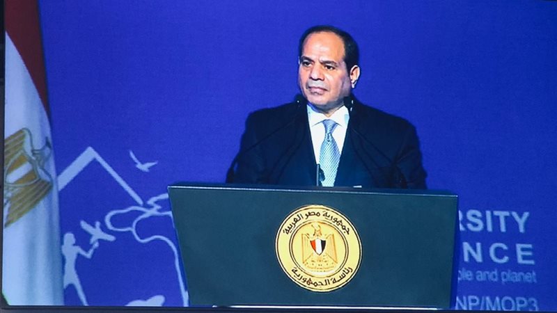  الرئيس عبد الفتاح