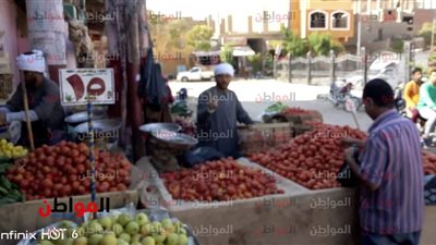 انخفاض تدريجي في أسعار الخضروات بالغربية.. والأهالي: لسه الأمل موجود