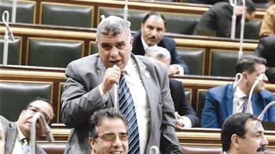 النائب محمد كساب يتقدم بمذكرة لوزير الزراعة لتثبيت عمال التشجير ببني سويف