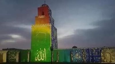 مرشحة رئاسية تونسية لـ
