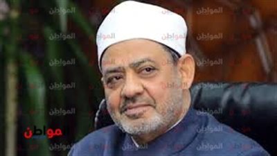 شيخ الأزهر في الإمارات للمشاركة في ملتقى تحالف الأديان