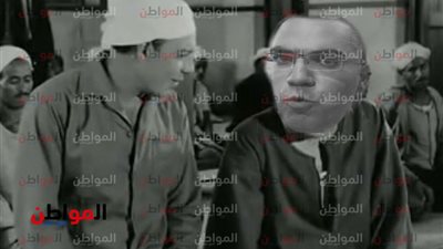 أفيخاي أدرعي يهنئ المسلمين بالمولد النبوي: ولد الهدى فالكائنات ضياء