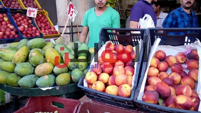 هنجيب سفندي عشان رخيص.. أسعار الفاكهة بأسواق الغربية اليوم 