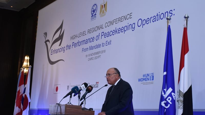 وزير الخارجية 