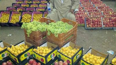 أسعار الخضروات بأسواق سوهاج اليوم الأربعاء.. تعرف عليها