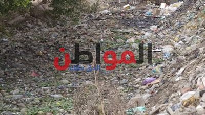 أهالي الرحمانية بالبحيرة للمحافظ: انقذنا من تلوث الترعة الرئيسية