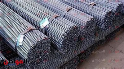 استقرار أسعار الحديد في أسواق الدقهلية اليوم الأربعاء