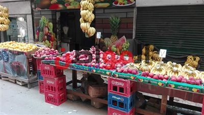 أسعار الفاكهة بالبحيرة اليوم الاربعاء 21/ 11/ 2018