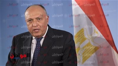 مصر تشارك في اجتماع الجمعية العامة للأمم المتحدة