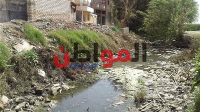 صور.. أحمد وليد أول الضحايا.. أهالي الفشن يستغيثون من المصرف الزراعي