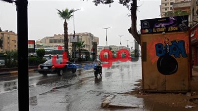 صور.. سقوط أمطار رعدية غزيرة.. وشوارع الجيزة تتحول لبركة مياه