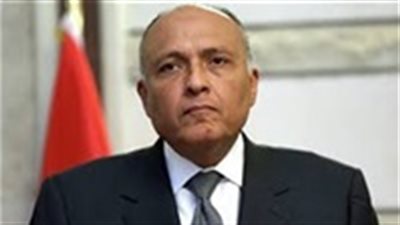 شكري لتليفزيون بلغاريا: مصر تشهد مرحلة نهوض وازدهار