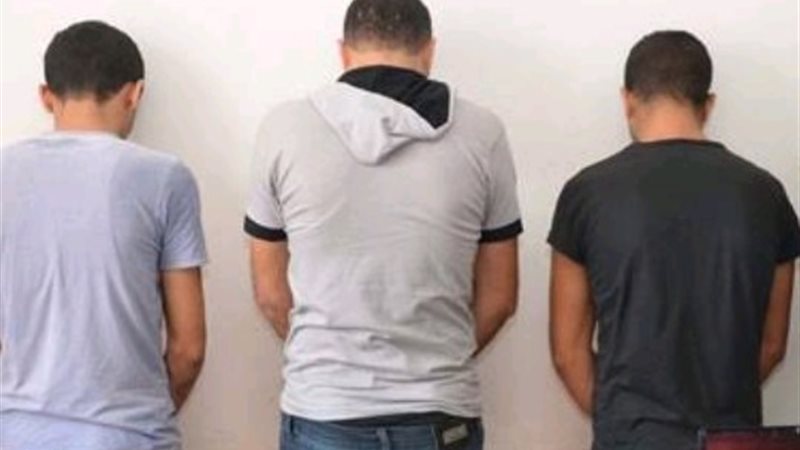 تشكيل عصابي بالبحيرة