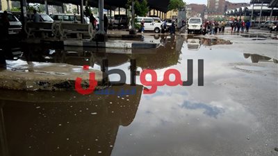 صور.. أمطار غزيرة تصل حد السيول تضرب محافظة الغربية الآن