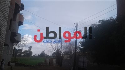 صور.. سقوط أمطار خفيفة ببعض مناطق بني سويف