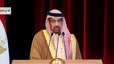 وزير الطاقة السعودى: الروابط التي تجمع الدول العربية كبيرة وخاصة مصر والسعودية