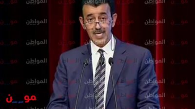 المنظمة العربية للتنمية الصناعية والتعدين: هذه ميزة مصر البترولية 