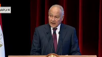 أحمد أبو الغيط: الدول العربية تعتمد على مصادر النفط والغاز
