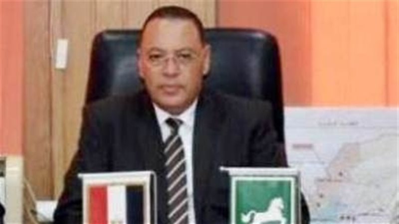 محافظ الشرقية