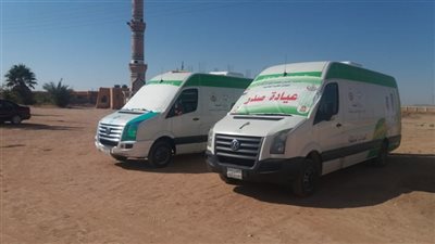 كشف وعلاج مجاني لـ387 مواطنًا بقرية الزيات في الوادي الجديد 